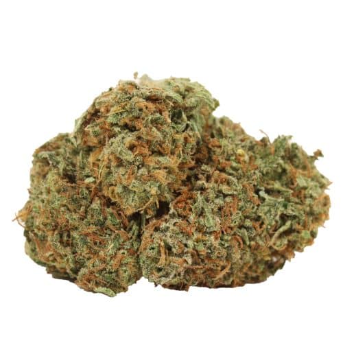 Copper Chem strain cannabis