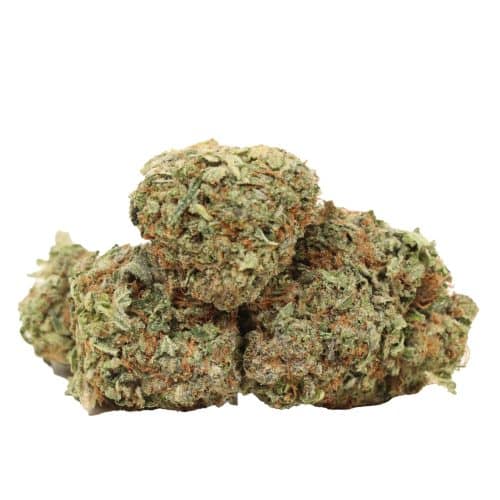 Death Rock strain cannabis