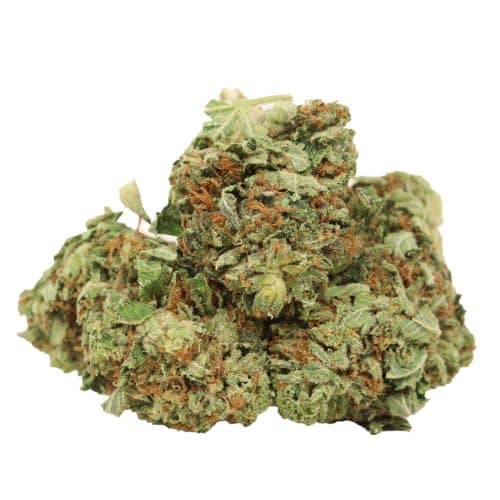 Diablo Death Bubba strain cannabis