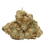 Diablo OG Kush strain cannabis
