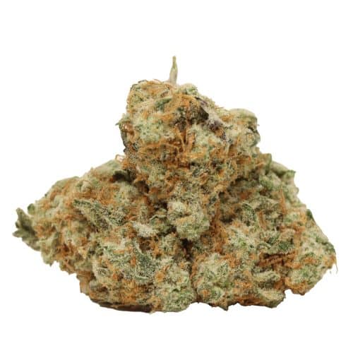 Diablo OG Kush strain cannabis