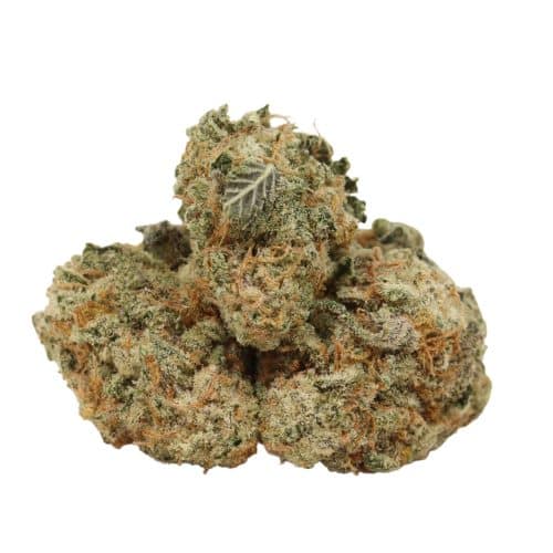 Dirty Mac strain cannabis