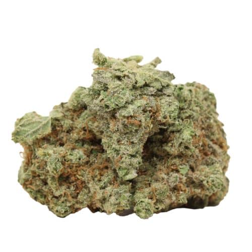 Durban Poison strain cannabis