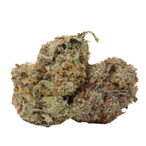 Fish Scale craft strain cannabis