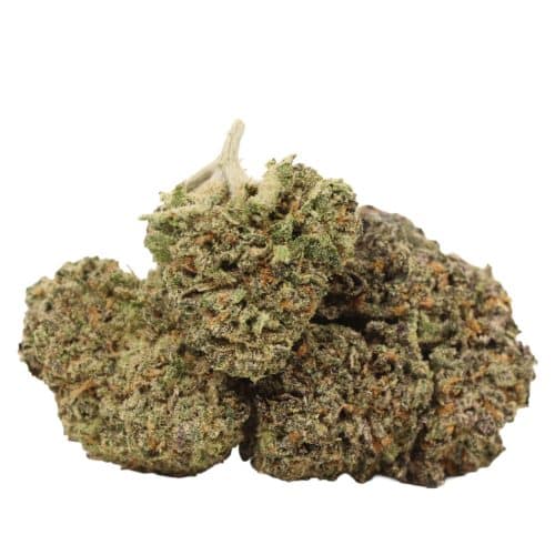 Forbidden Runtz strain cannabis