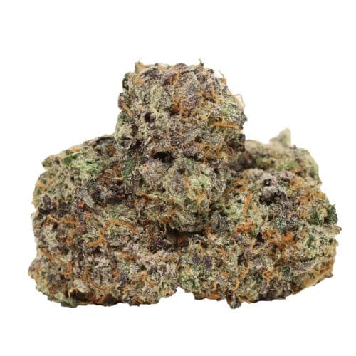 Gas Daddy craft strain cannabis