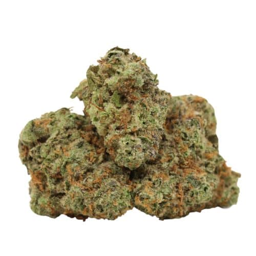 Galactic Punch strain cannabis