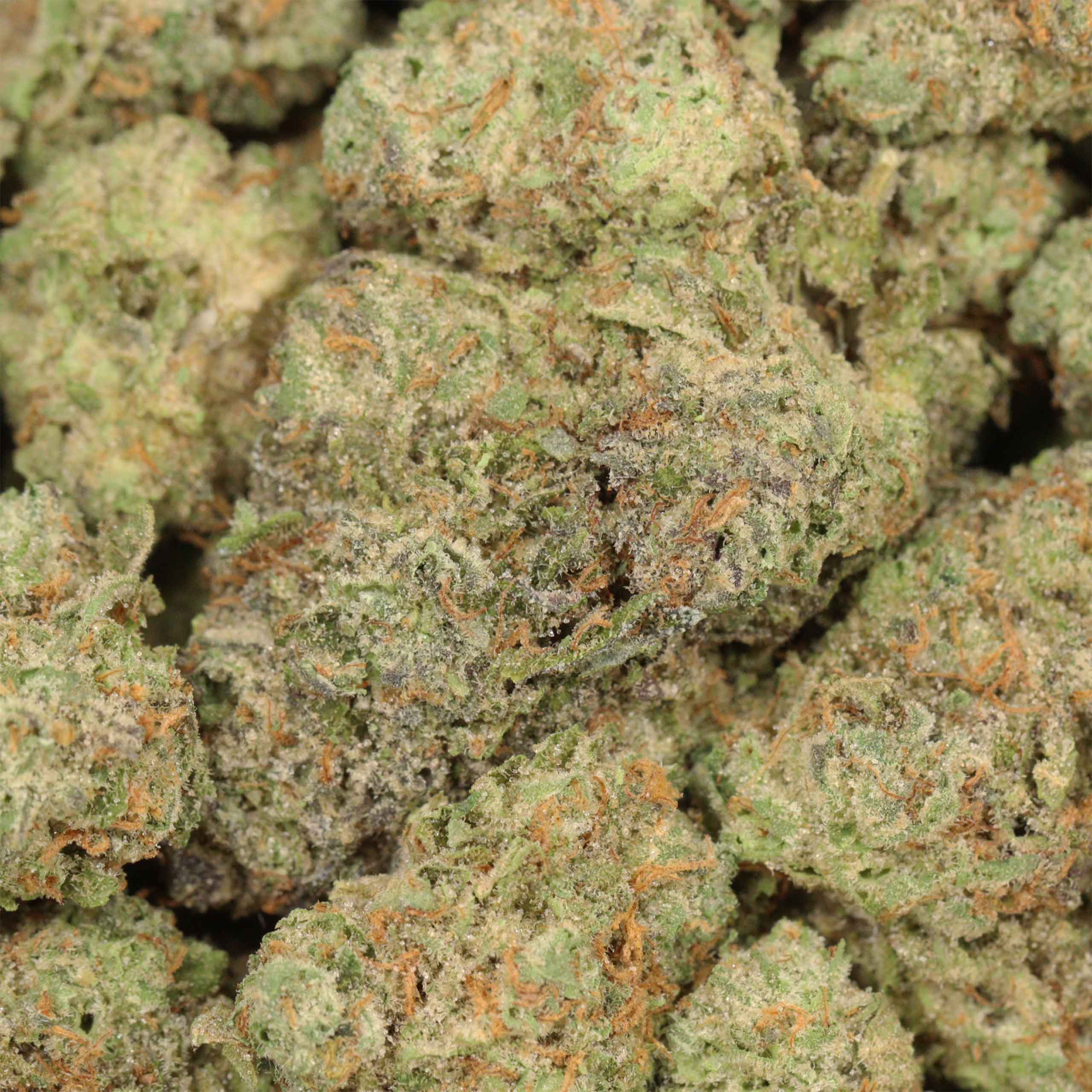 Galactic Punch - Image 3