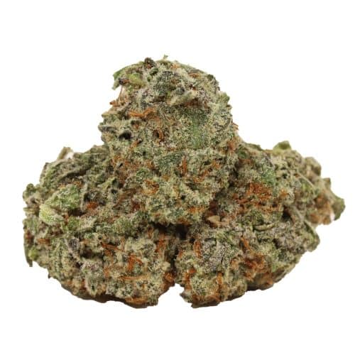 Gorilla Glue #4 strain cannabis