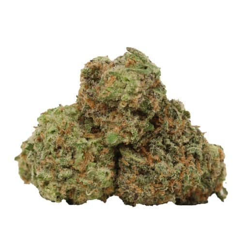 Girl Scout Cookies strain cannabis