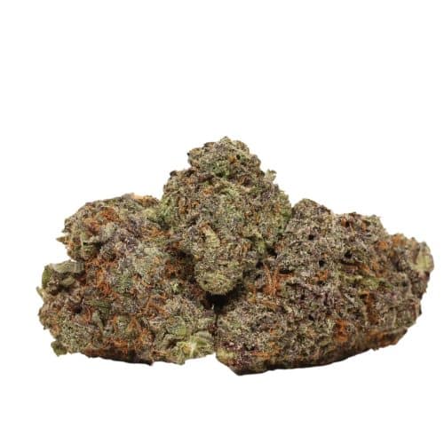 Gorilla Glue #4 strain cannabis