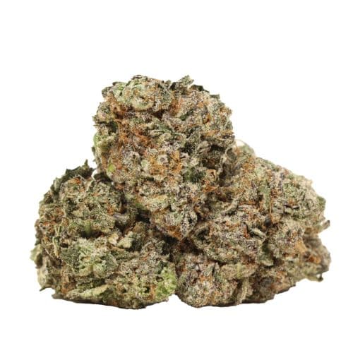 GrandDaddy Death strain cannabis