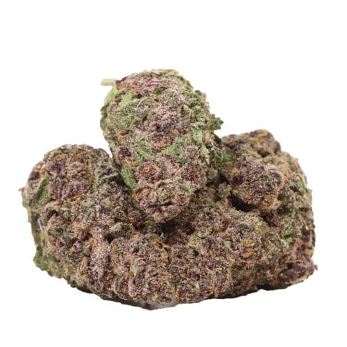 Grape Krush strain cannabis