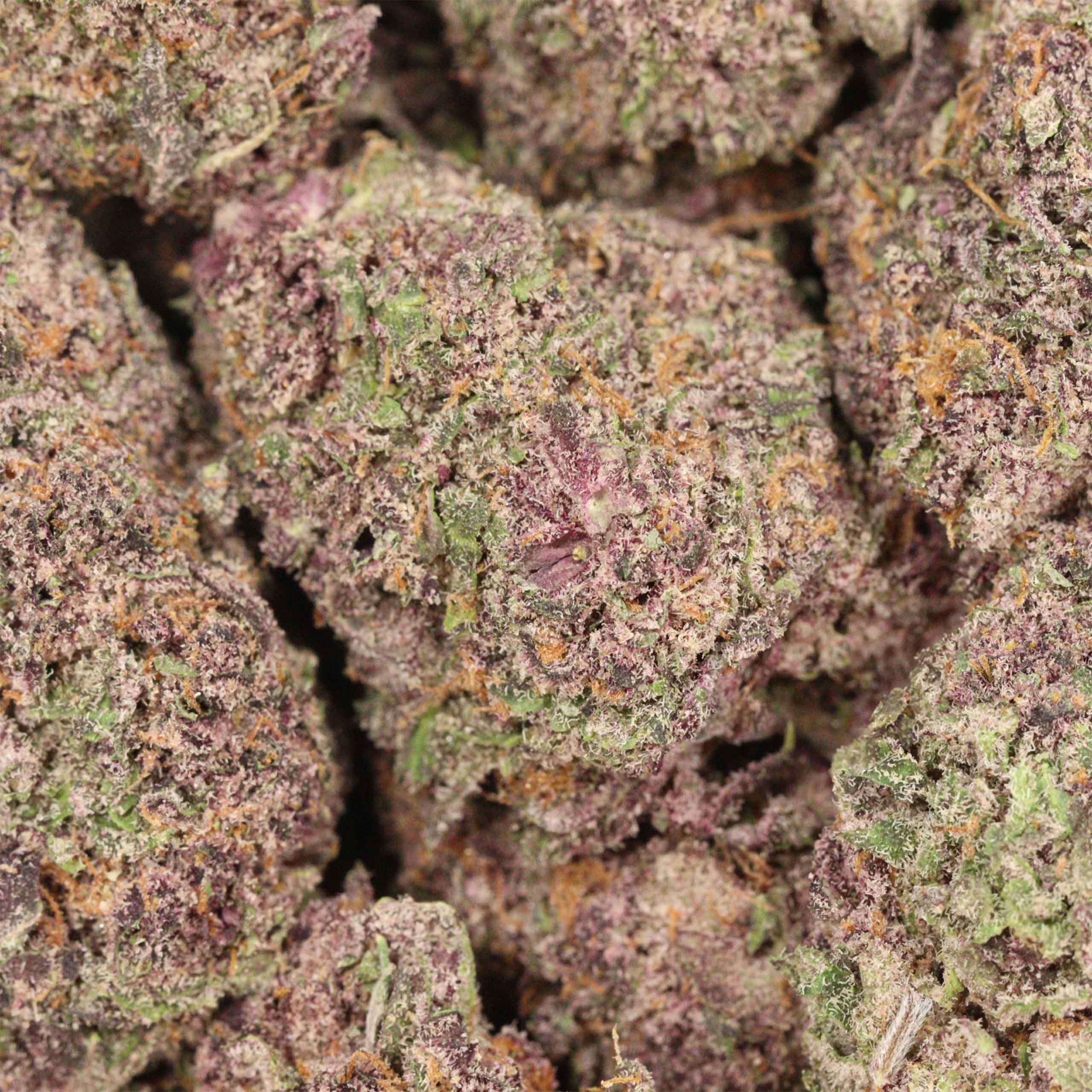 Grape Krush - Image 3