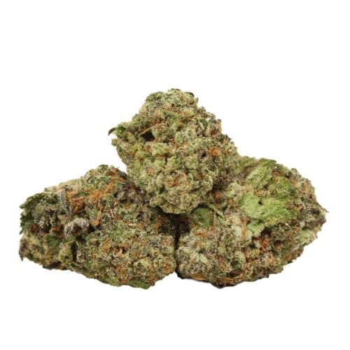 Heaven Scent strain cannabis