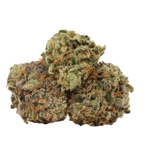 Hectane craft strain cannabis