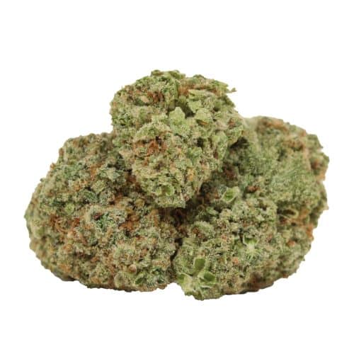 JackFruit strain cannabis