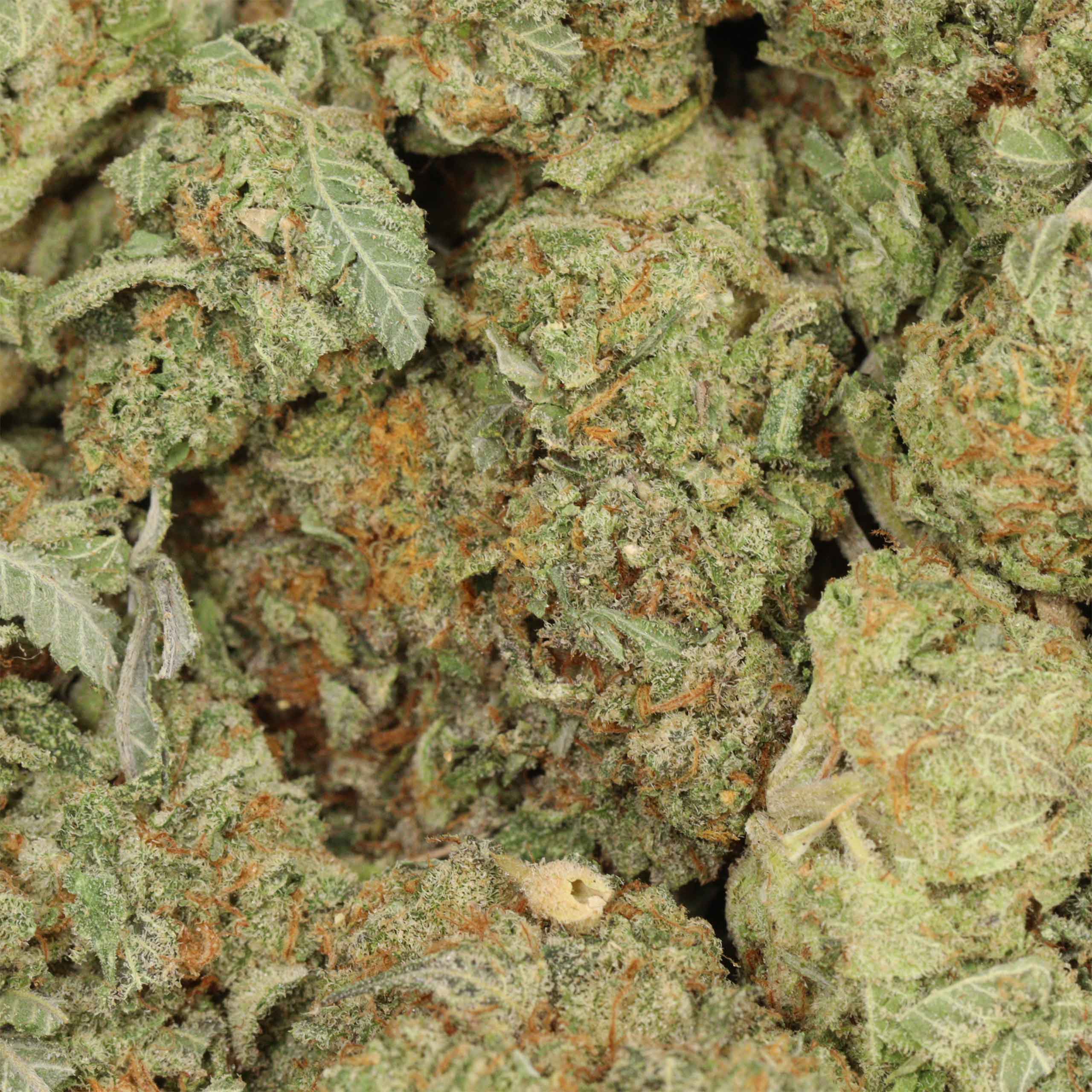 Jet Fuel - Image 3