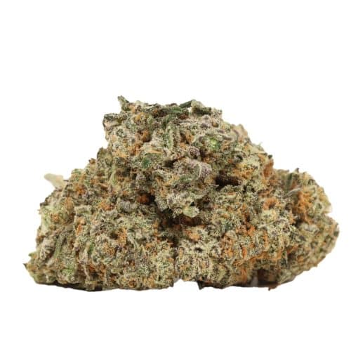LA Ultra strain cannabis