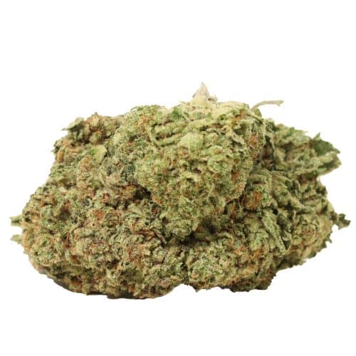 Lemon Tree strain cannabis