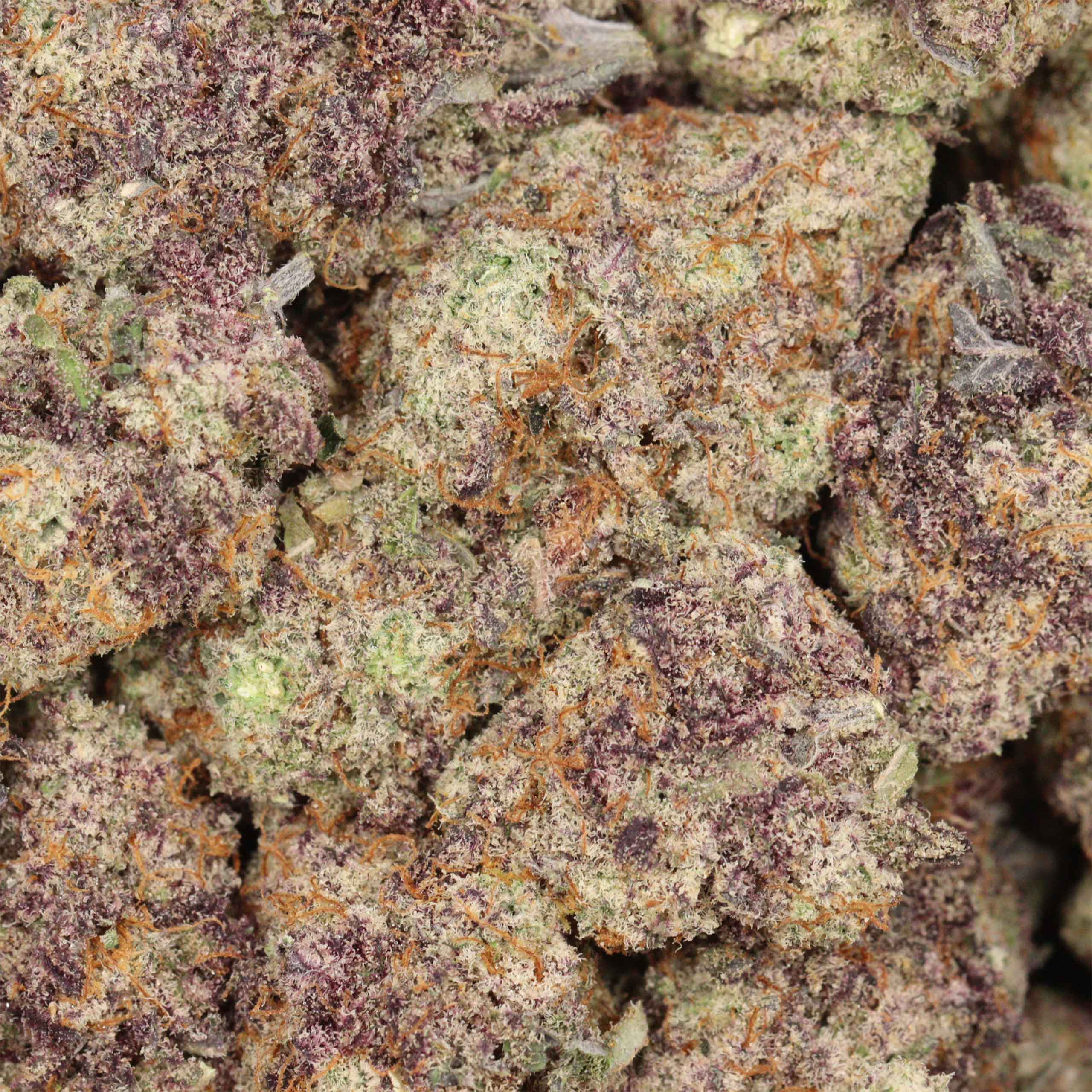 MAC 1 - Image 3