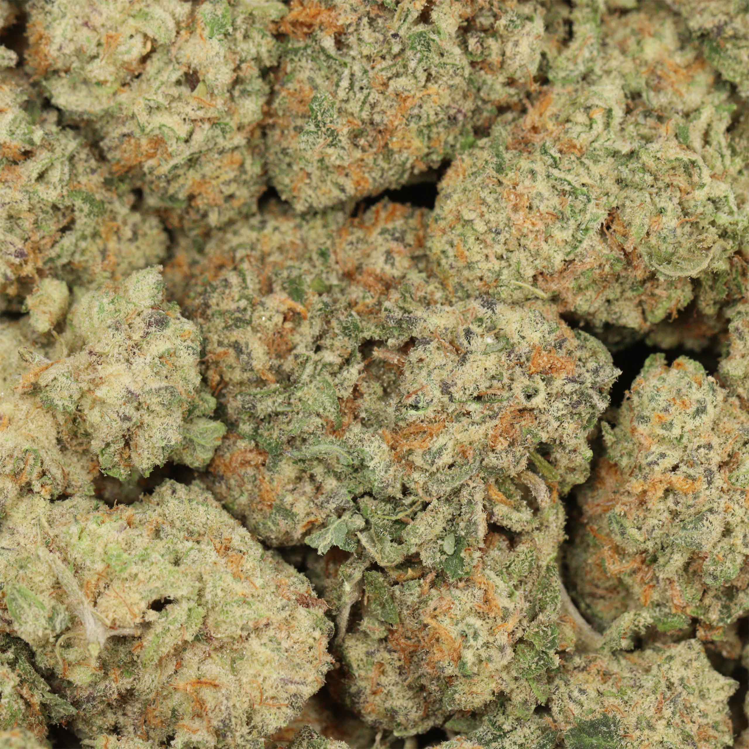 Mac 10 - Image 3