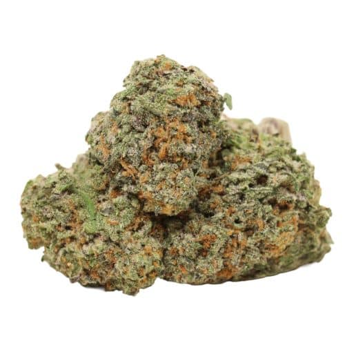 Mango Kush strain cannabis