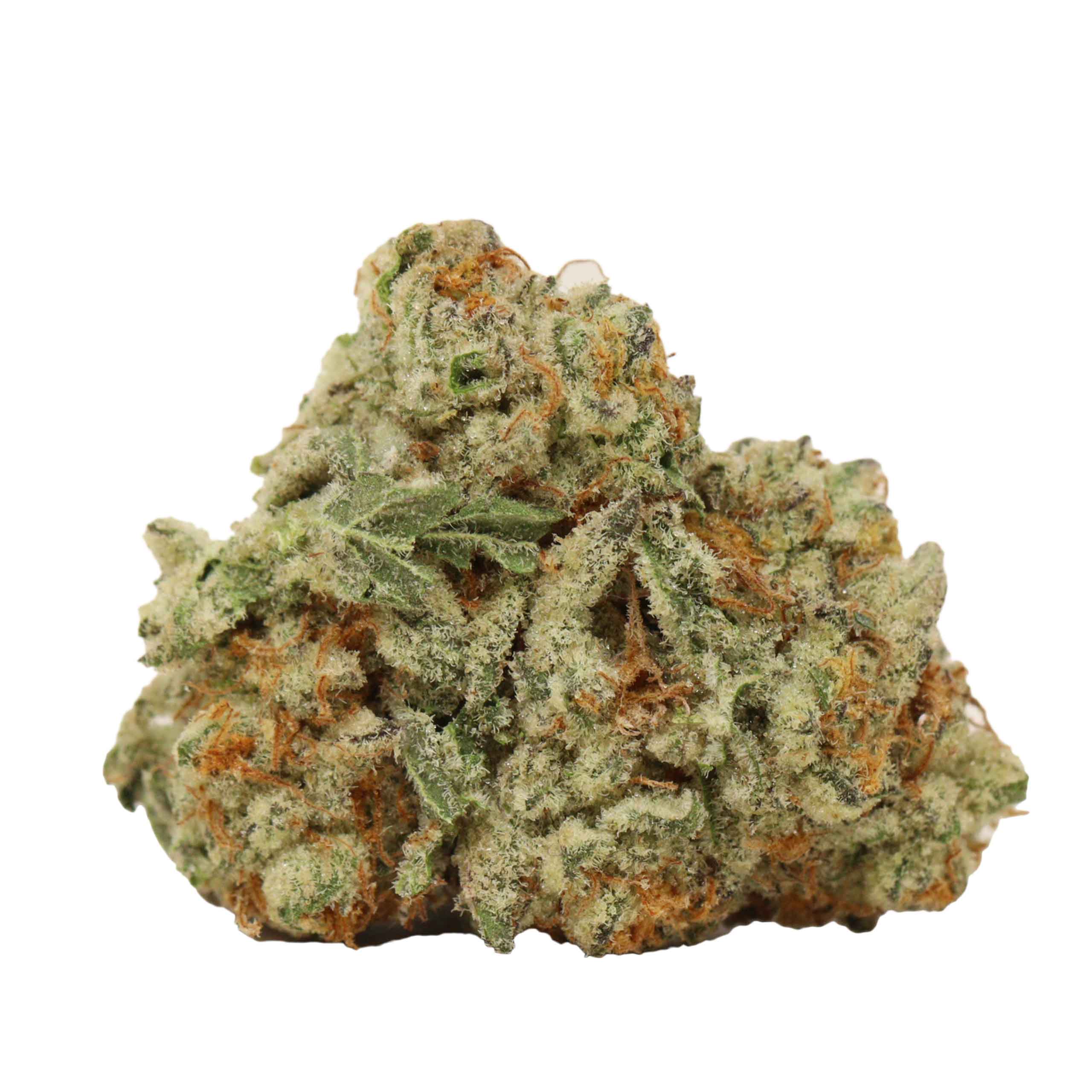 Master Kush - Image 2