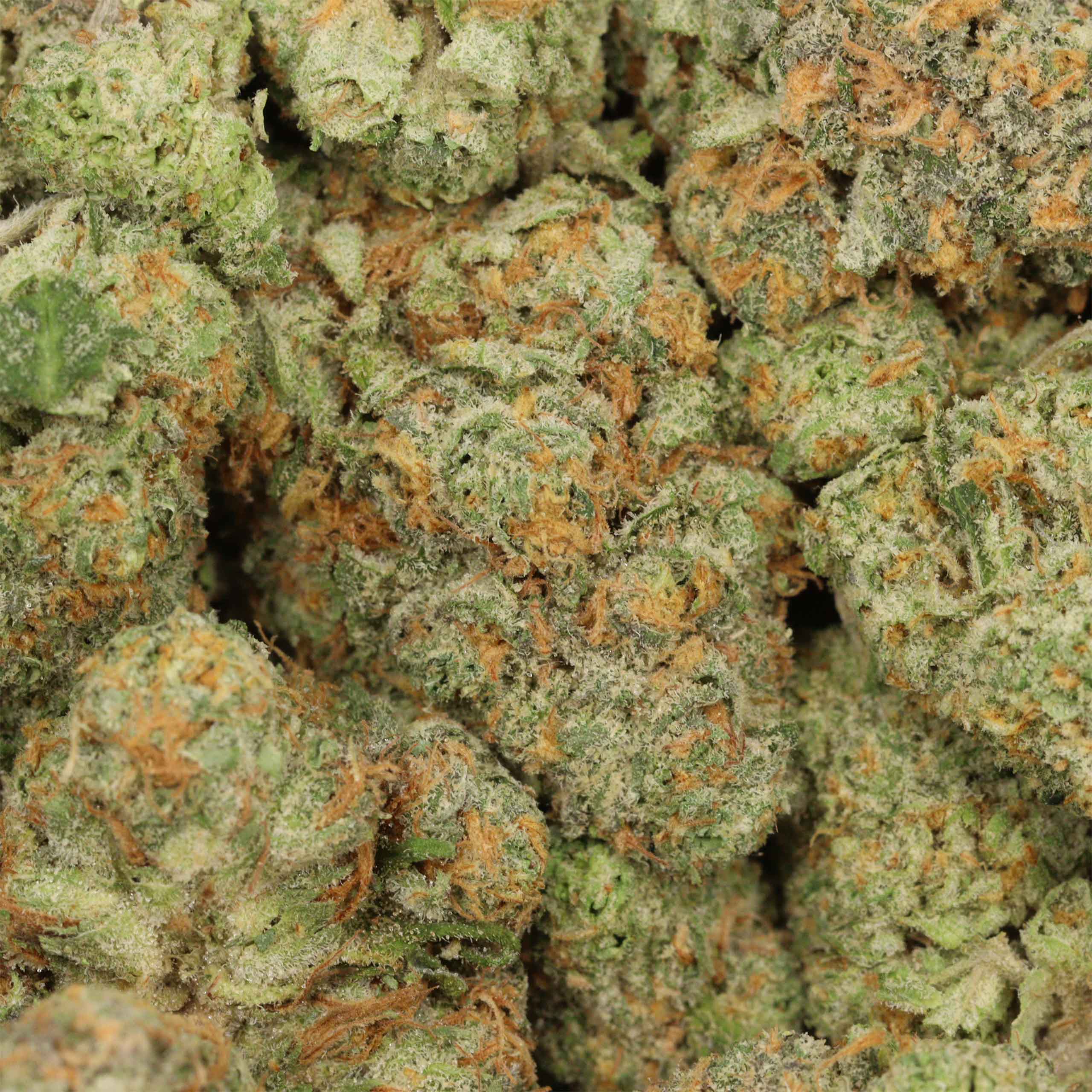 Maui Wowie - Image 3