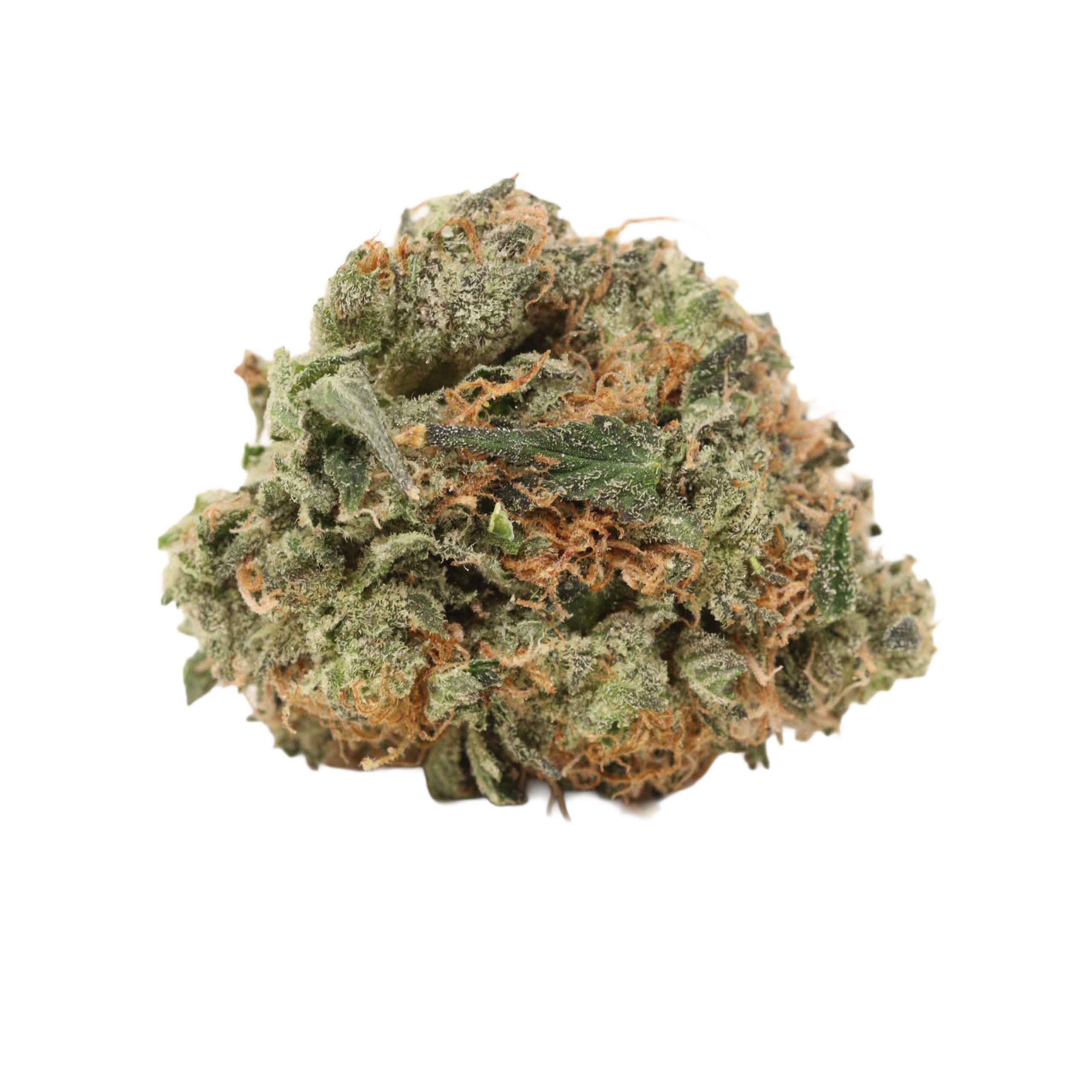Mike Tyson OG - Image 2