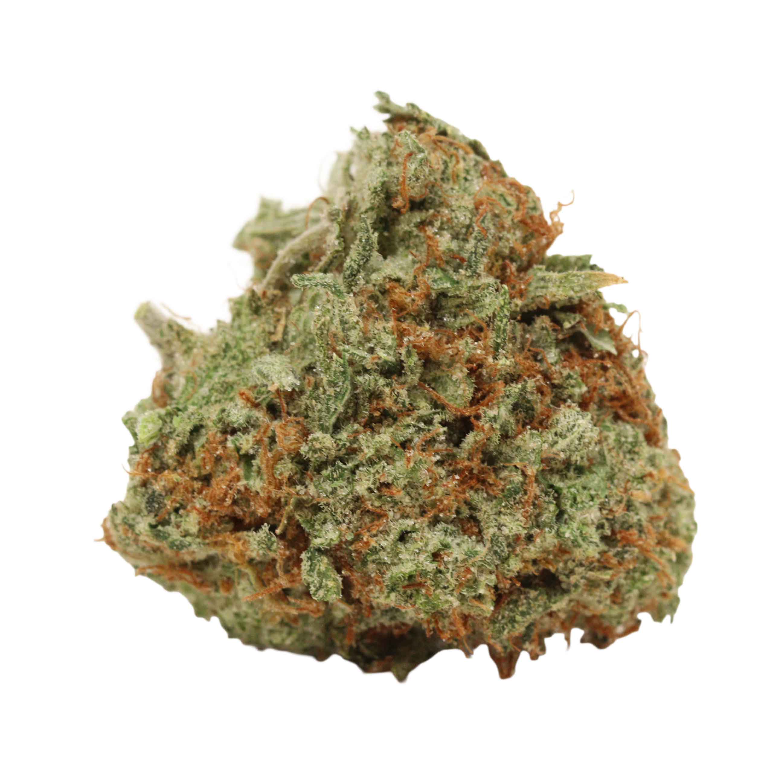 Mimosa - Image 2