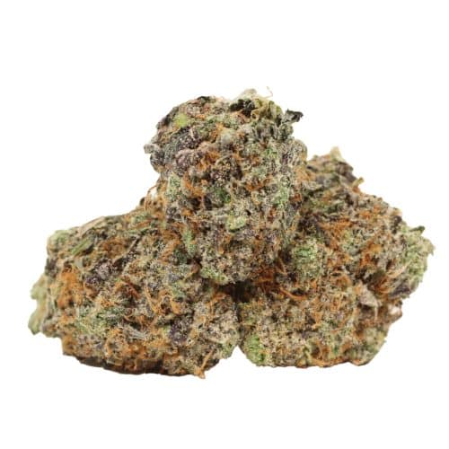 Mule Fuel craft strain cannabis