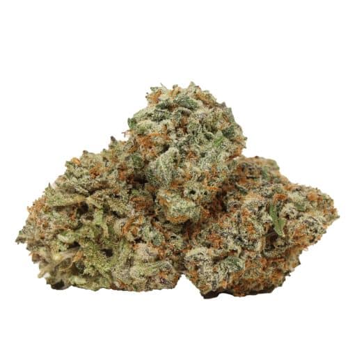 Northern Lights strain cannabis