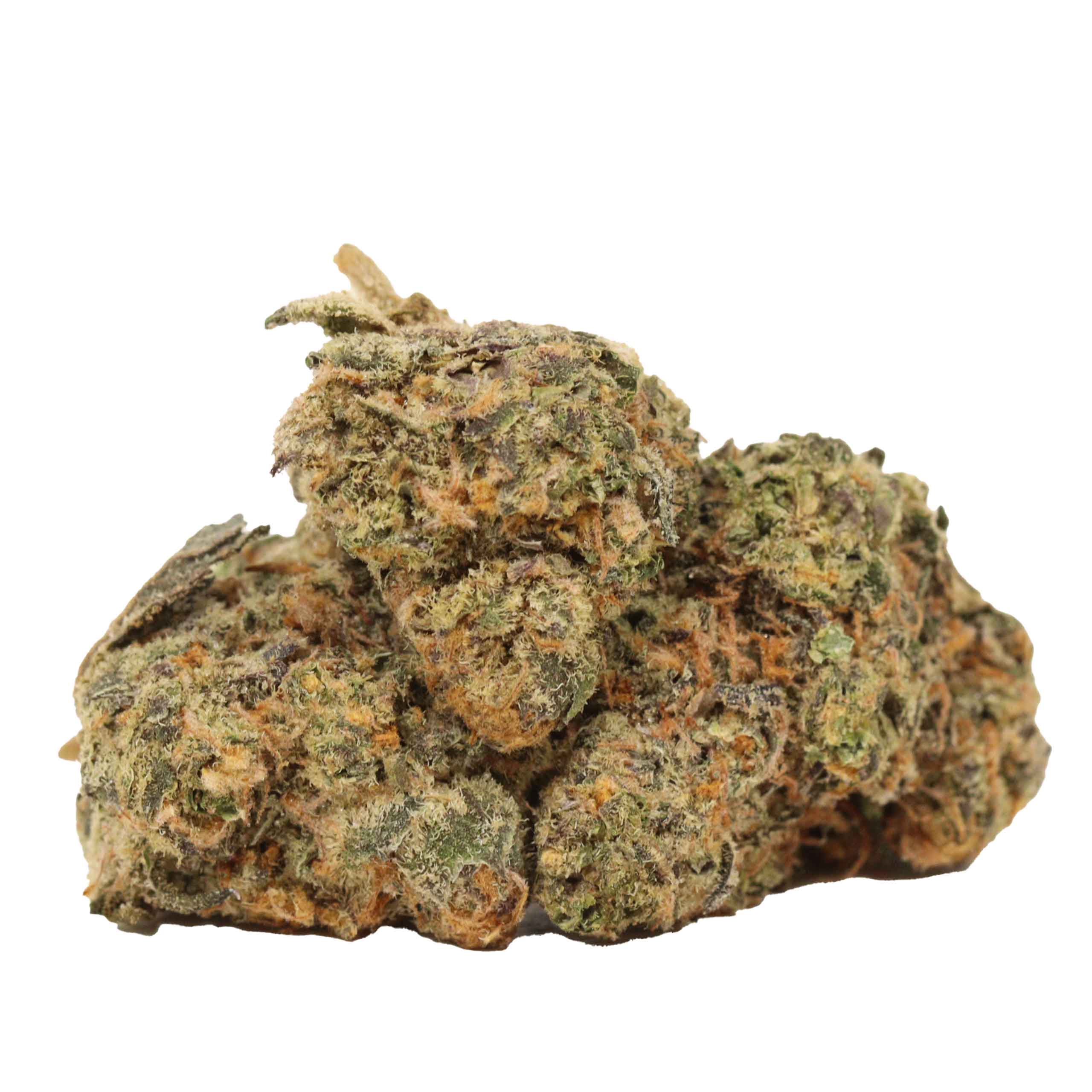 Northern Lights strain cannabis