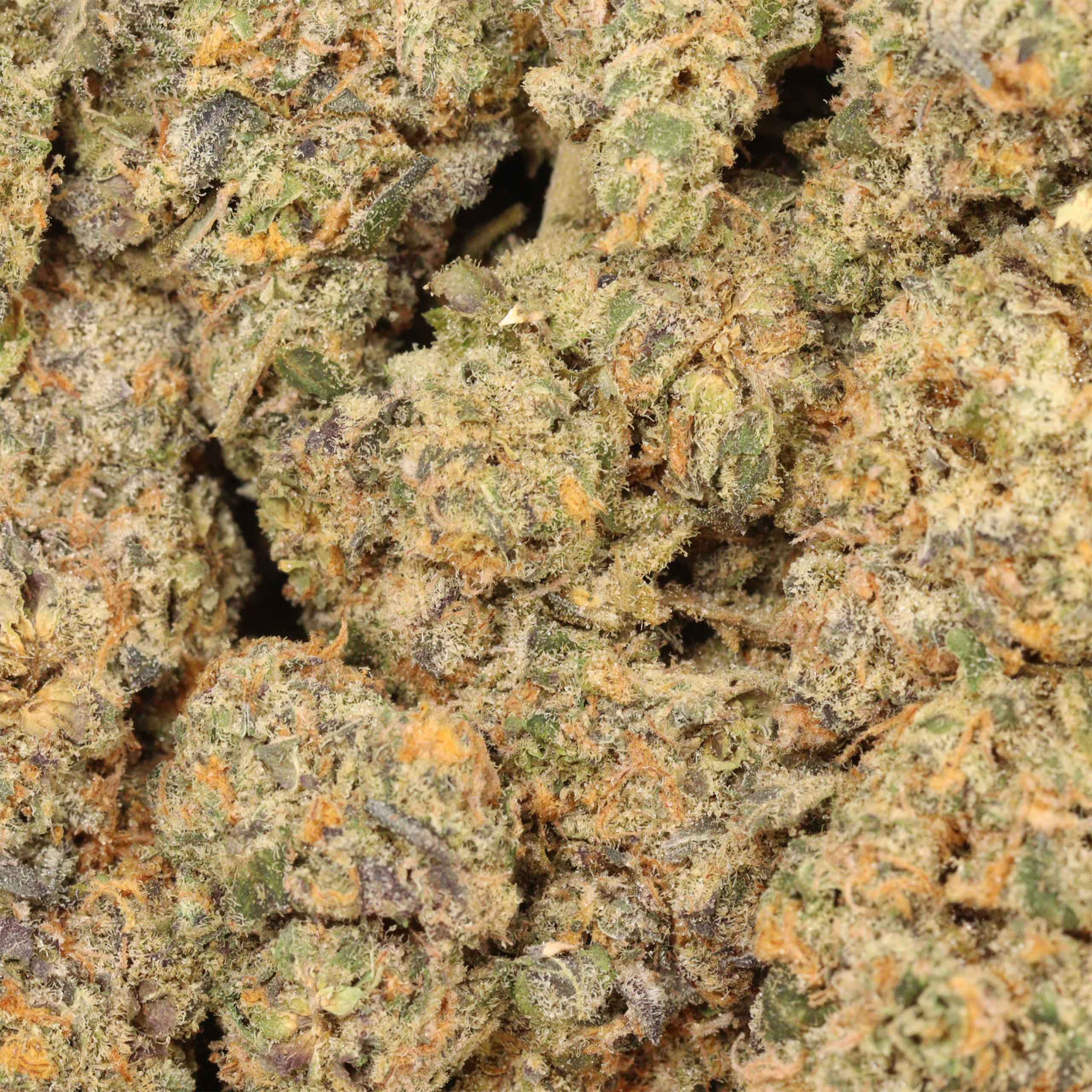 Northern Lights - Image 3