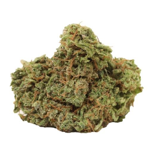 NYC Diesel strain cannabis