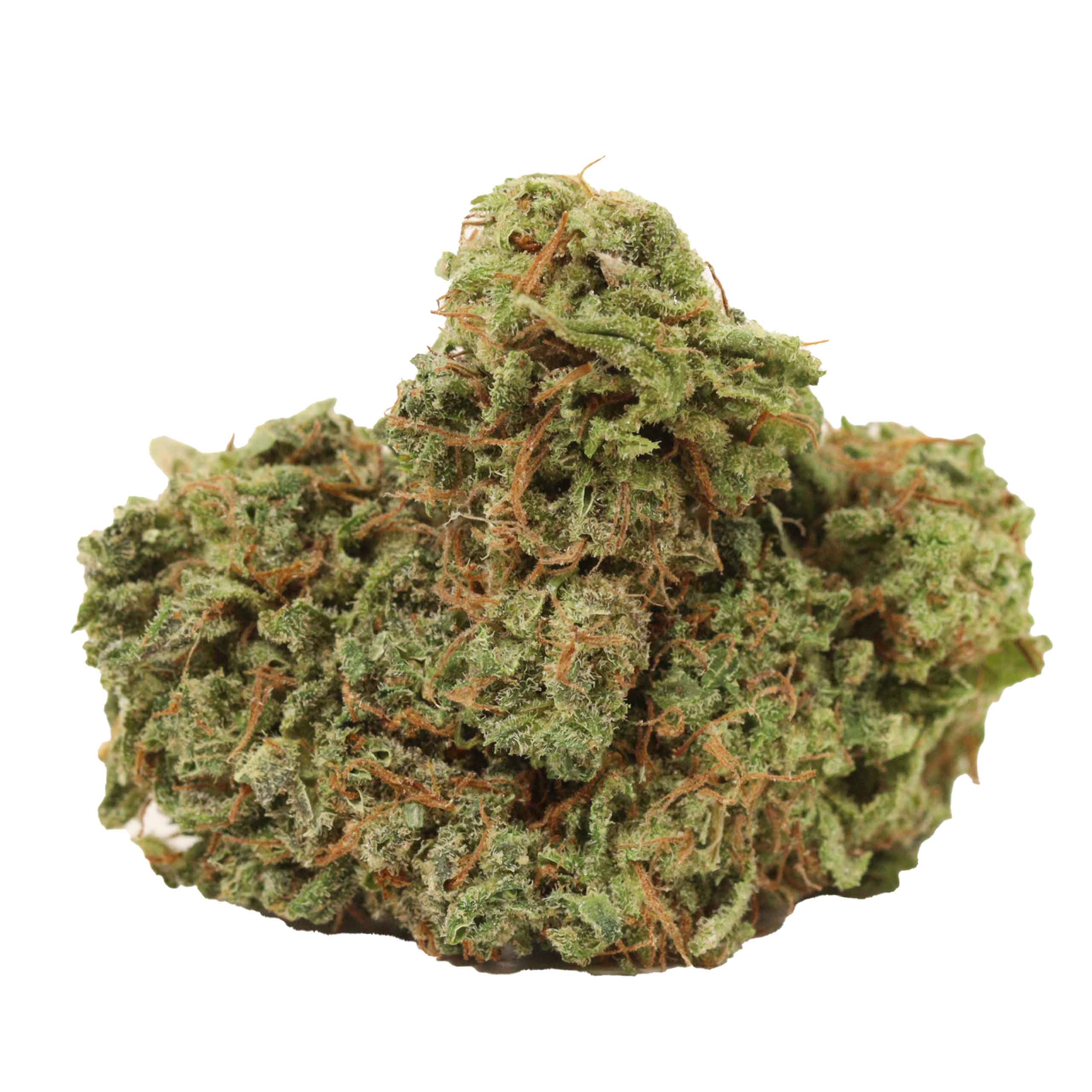 NYC Diesel strain cannabis