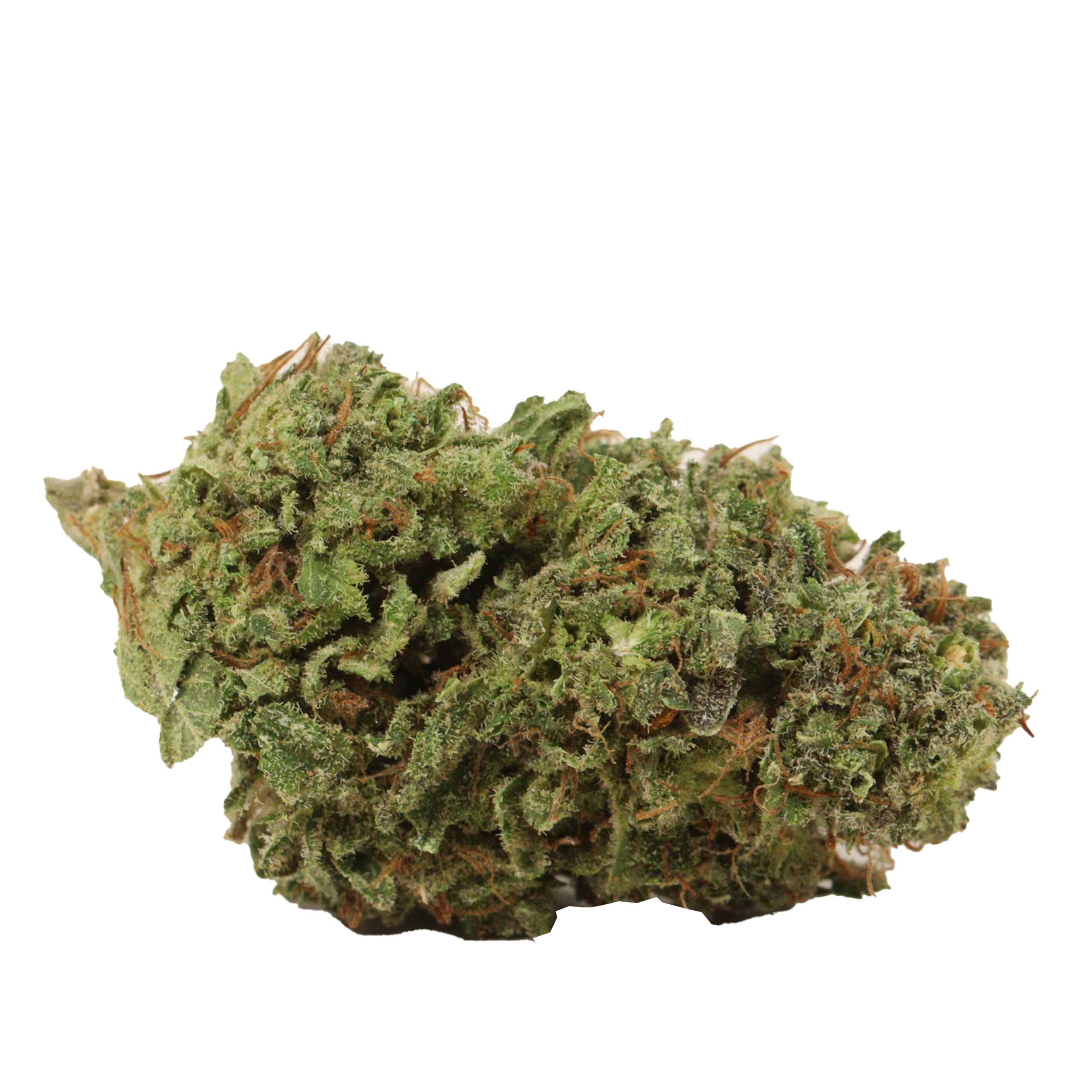 NYC Diesel - Image 2