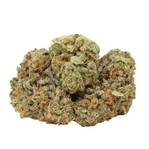 Orange Push Pop strain cannabis