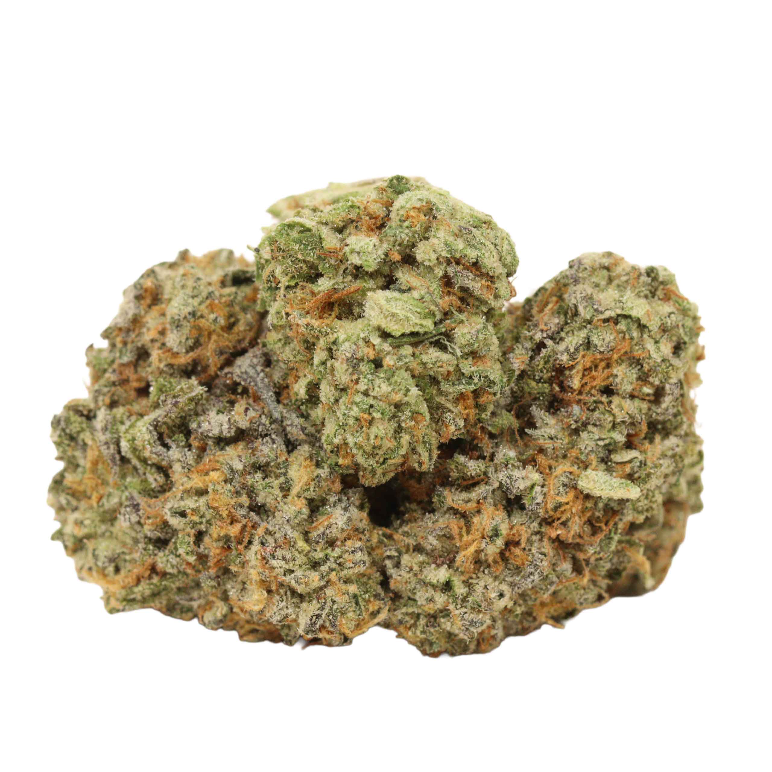 Orange Push Pop strain cannabis
