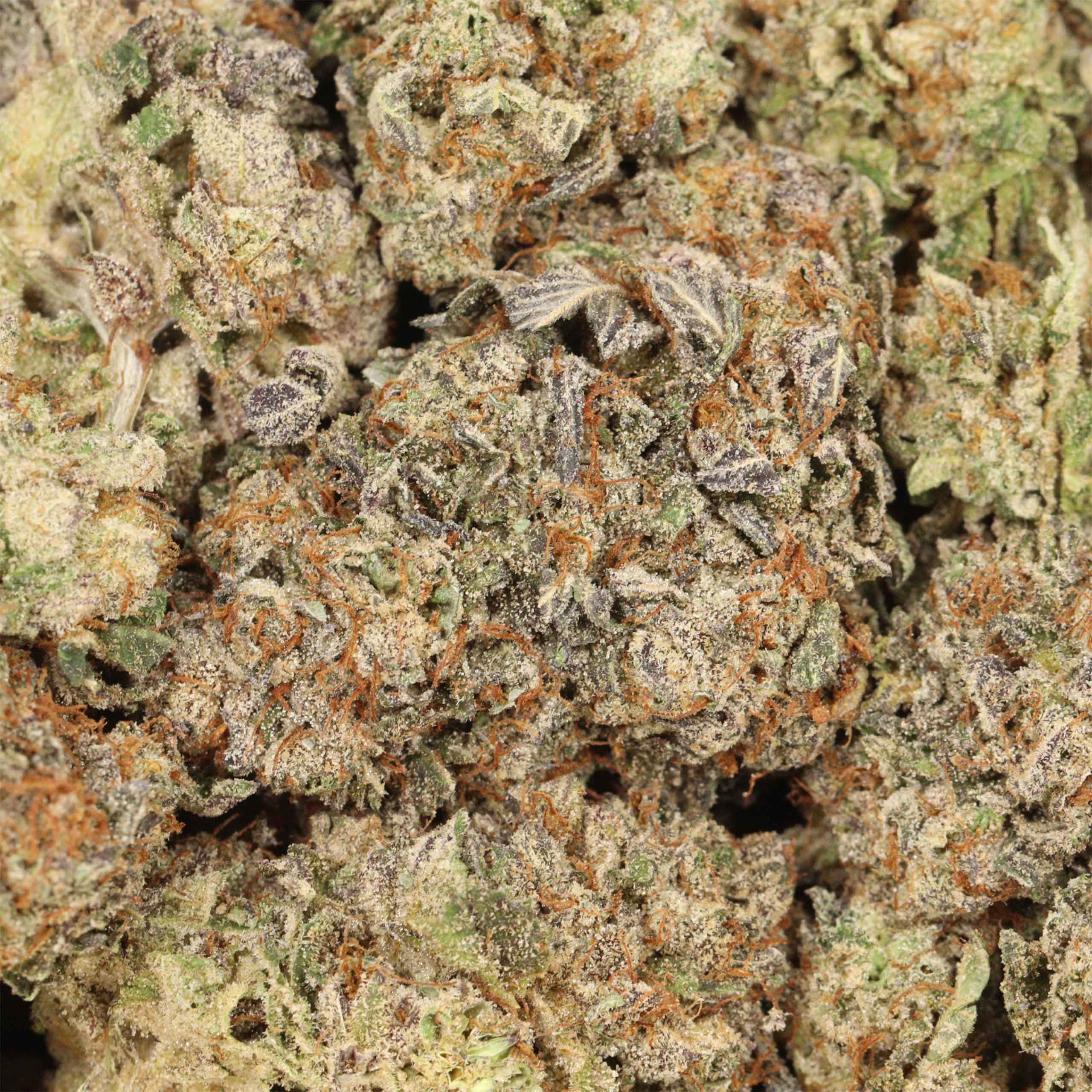 Peanut Butter Breath - Image 3
