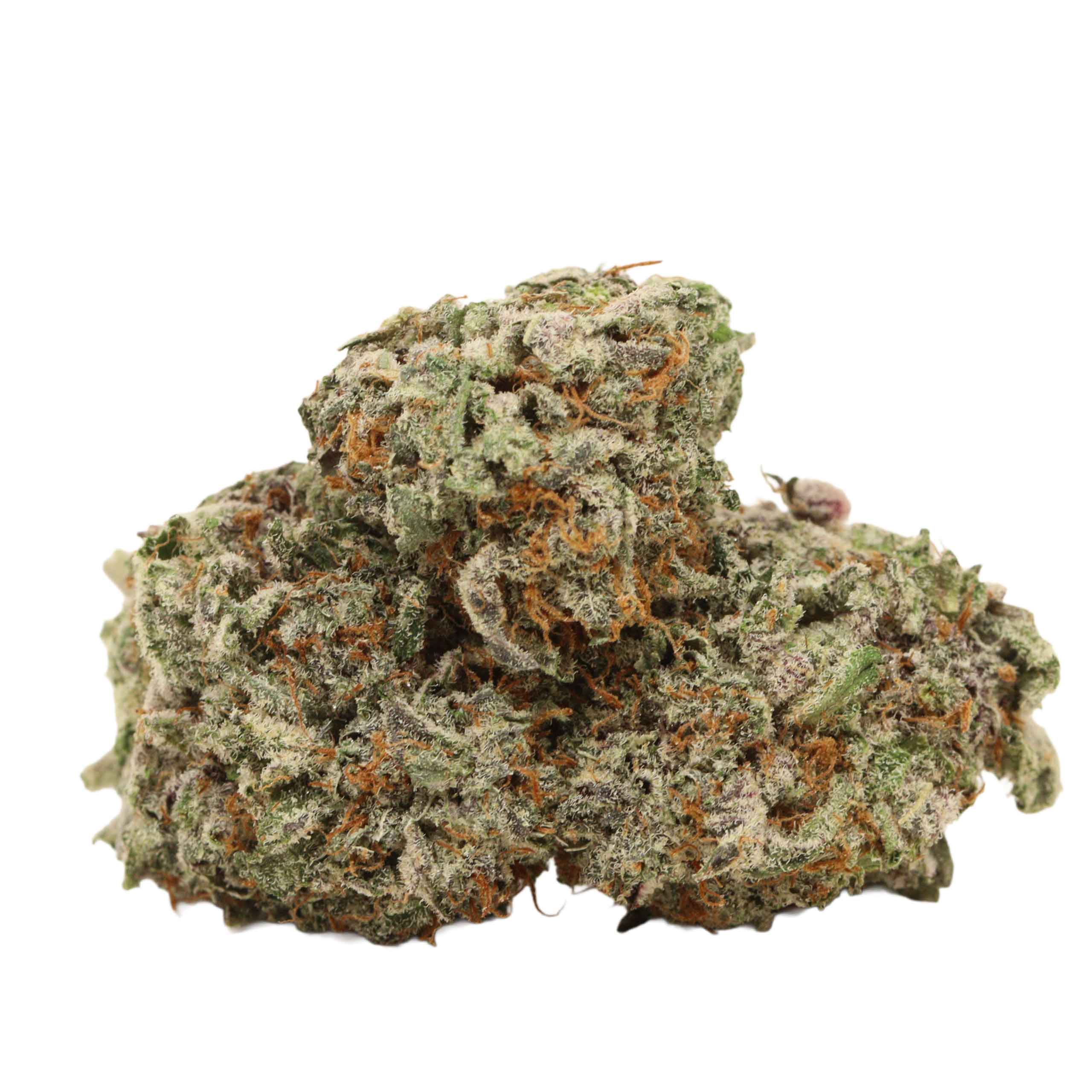 Pine Tar Kush strain cannabis