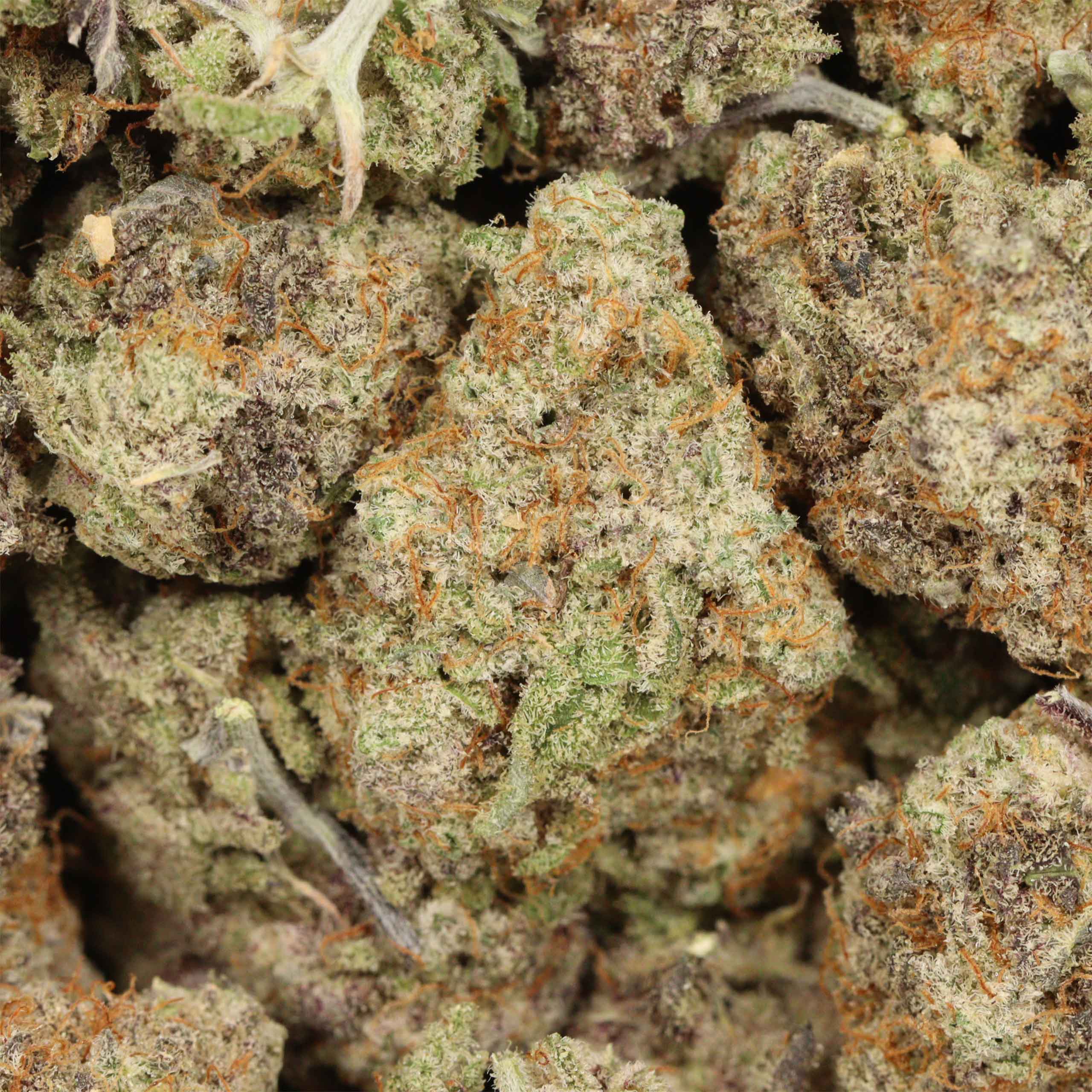 Pineapple Express - Image 3