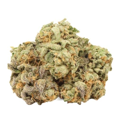 Pineapple Fanta strain cannabis