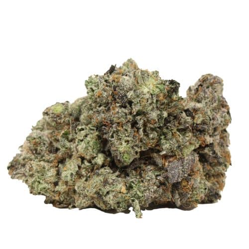 Pink Chapo LSO craft strain cannabis