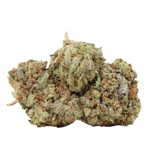 Pink Death strain canabis