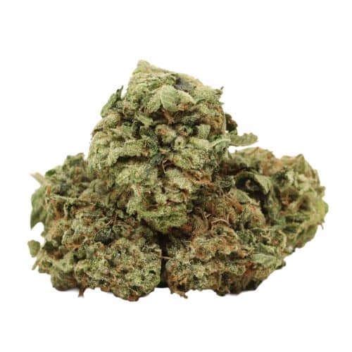 Pink Gas strain cannabis