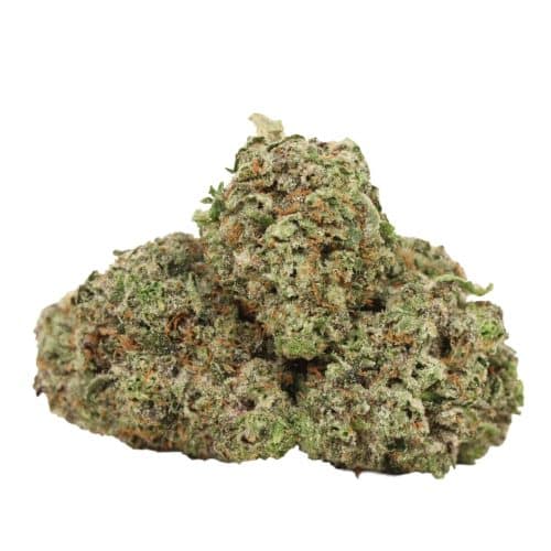 Pink Kush craft strain cannabis