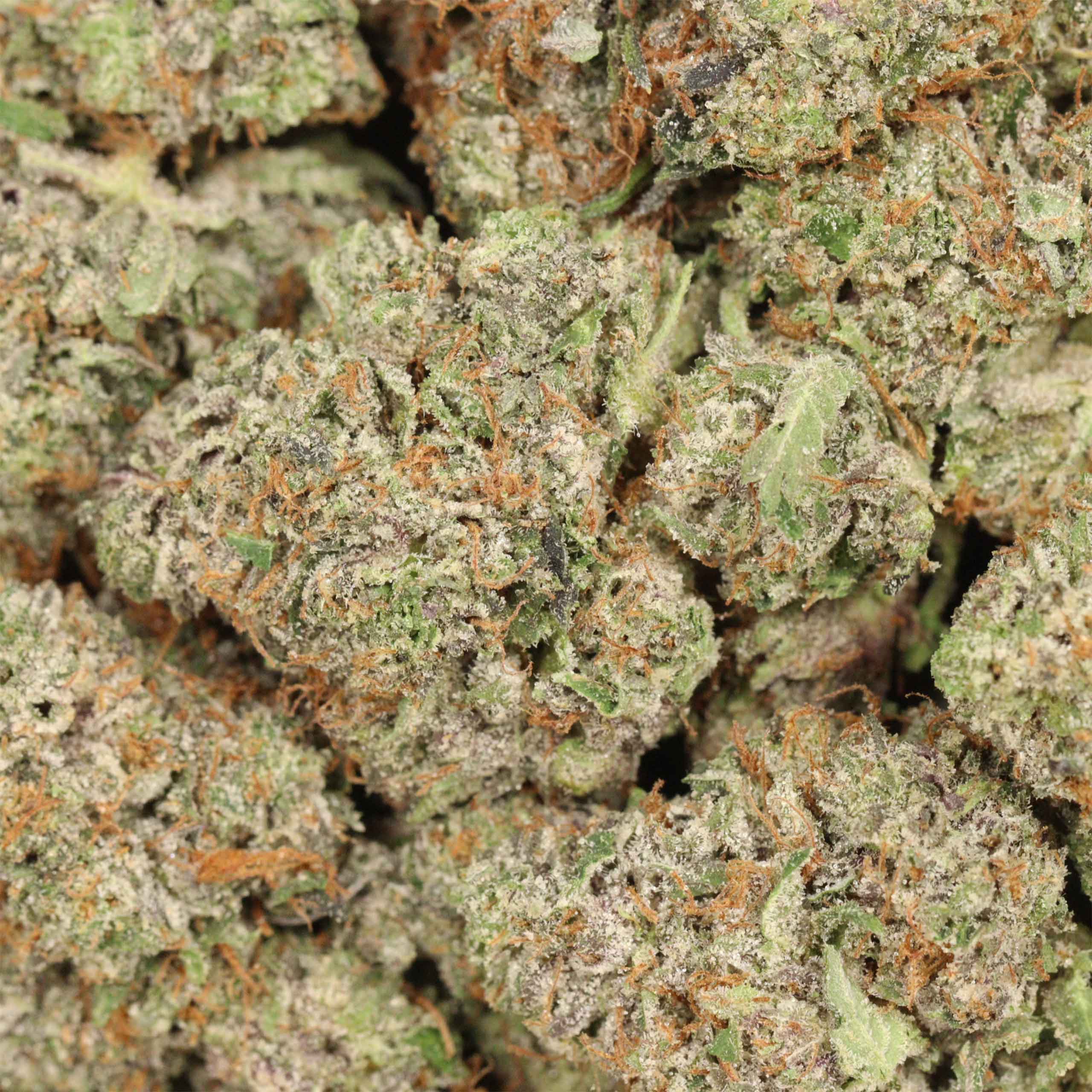 Pink Kush AAAA+ Indica Craft - Image 3