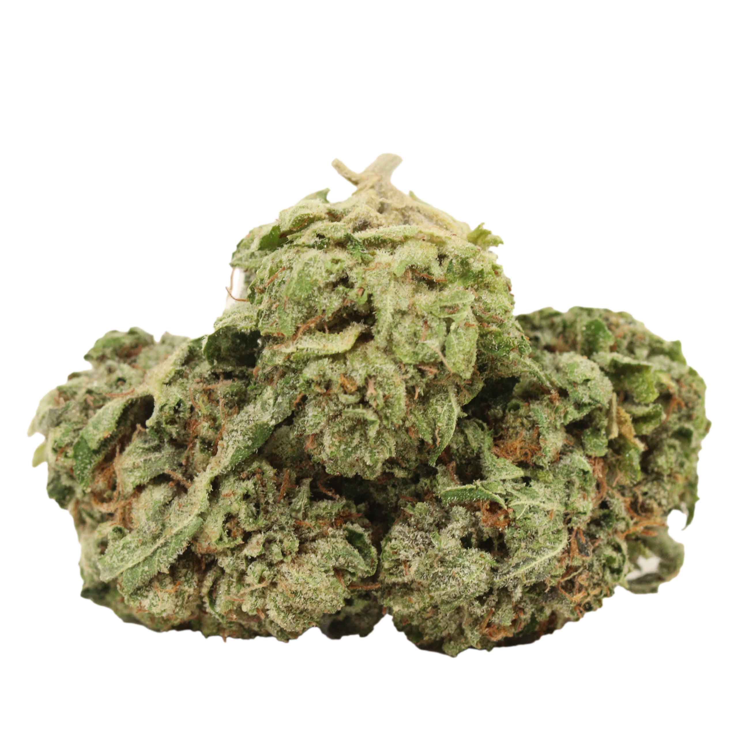 Pink Kush strain cannabis